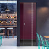 Spott 8mm Clear Glass - Obscure Printed Design - Single Absolute Pocket Door