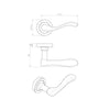 European AQ3 Apollo Lever Latch Handles on Round Rose - 3 Finishes