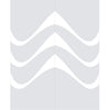 Double Glass Sliding Door - Temple 8mm Clear Glass - Obscure Printed Design - Planeo 60 Pro Kit