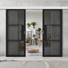 Double Sliding Door & Wall Track - Tribeca 3 Pane Black Painted Door - Tinted Glass