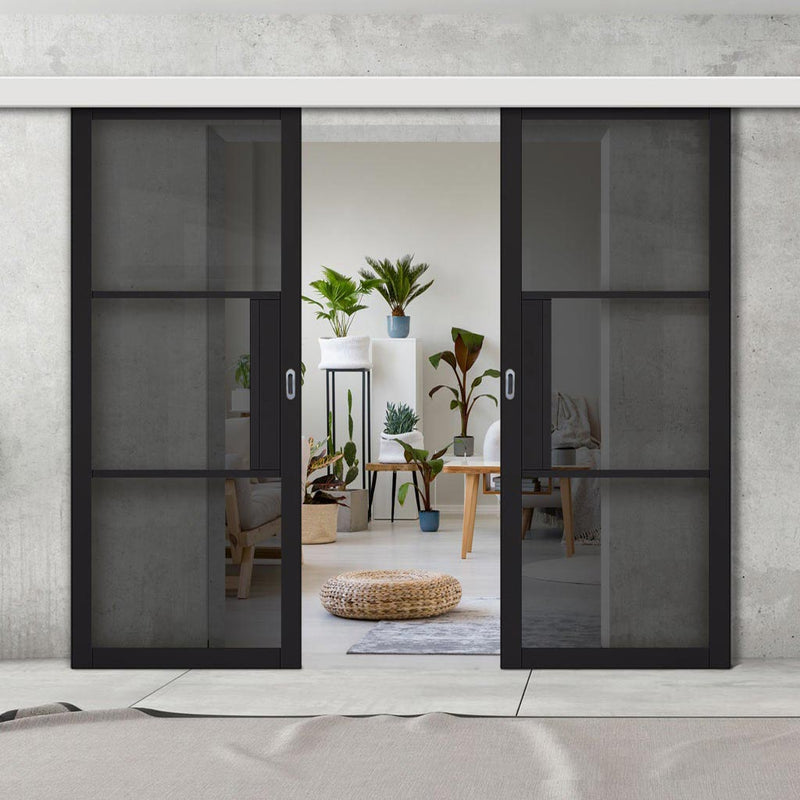 Double Sliding Door & Wall Track - Tribeca 3 Pane Black Painted Door - Tinted Glass