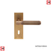 Varese Lever on Backplate Lock 57mm - 6 Finishes