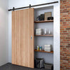 Top Mounted Black Sliding Track & Door - Wexford Oak Panel Door - Unfinished