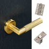 Zurich Door Handle Pack - Satin Gold